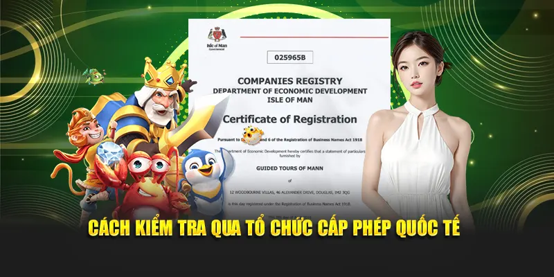 Cách kiểm tra qua tổ chức cấp phép quốc tế