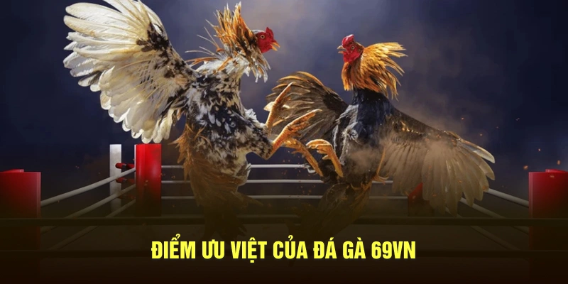 Điểm ưu việt của đá gà 69VN