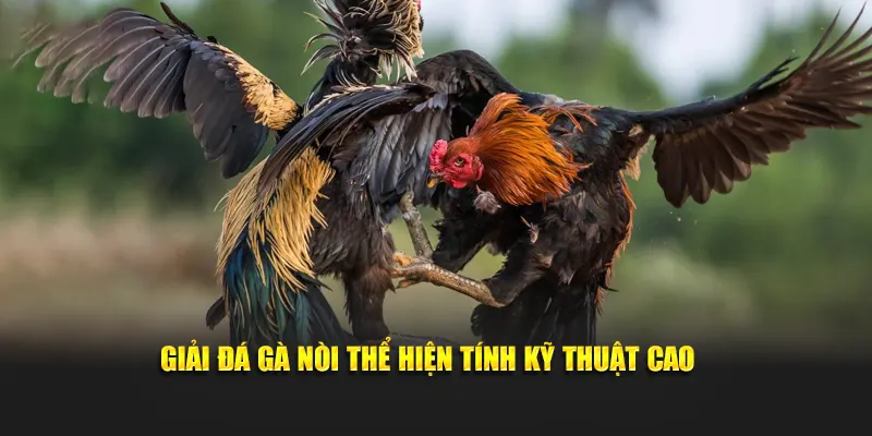 Giải đá gà nòi thể hiện tính kỹ thuật cao 