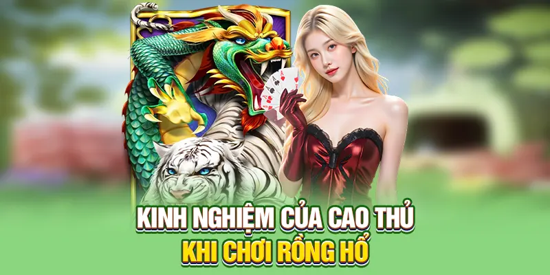 Kinh nghiệm của cao thủ khi chơi Rồng Hổ