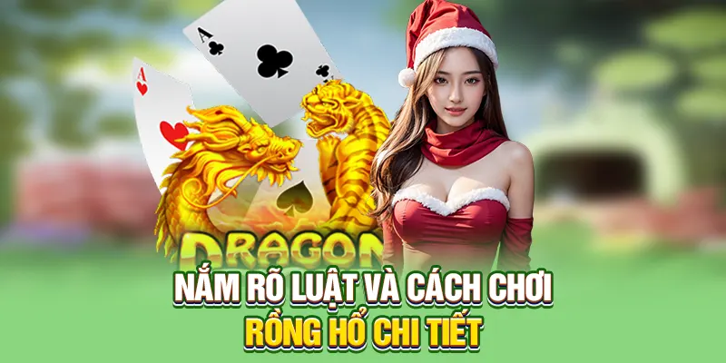 Nắm rõ luật và cách chơi Rồng Hổ chi tiết