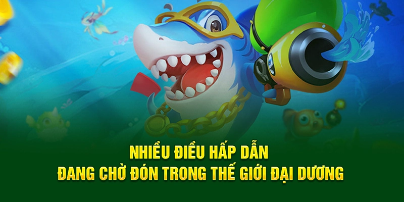 Nhiều điều hấp dẫn đang chờ đón trong thế giới đại dương