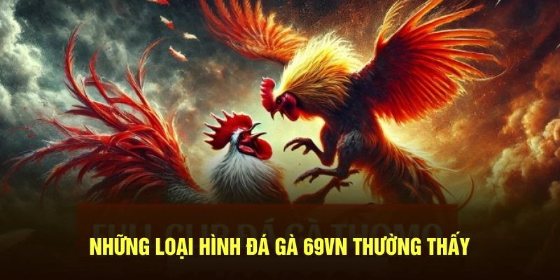 Những loại hình đá gà 69VN thường thấy