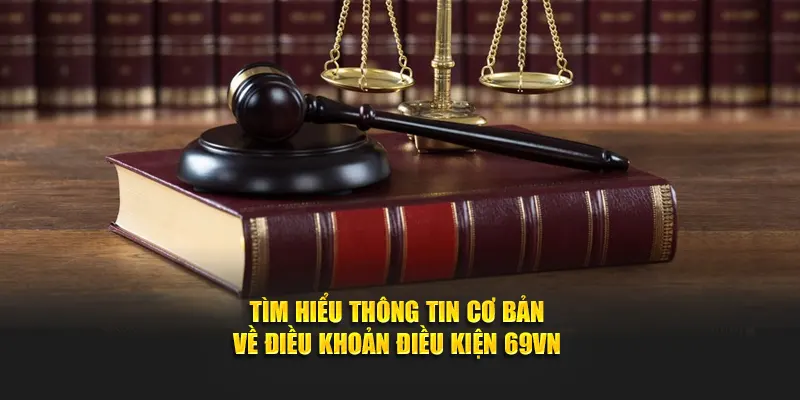 Tìm hiểu thông tin cơ bản về điều khoản điều kiện 69VN