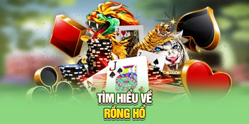 Tìm hiểu về Rồng Hổ