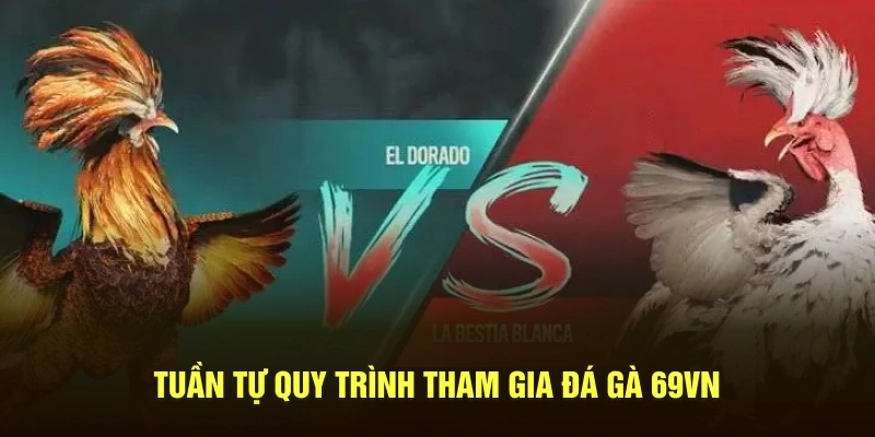 Tuần tự quy trình tham gia đá gà 69VN
