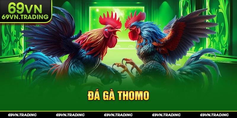 đá gà thomo