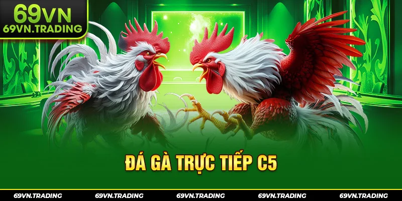 đá gà trực tiếp c5